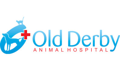 Veterinary Care in Hingham, MA | Old Derby Animal Hospital Veterinary Care in Hingham, MA | Old Derby Animal Hospital